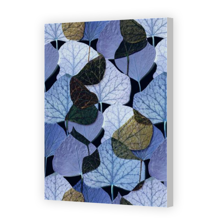Thumbnail for Canvas - Coloured Canvas Wrap