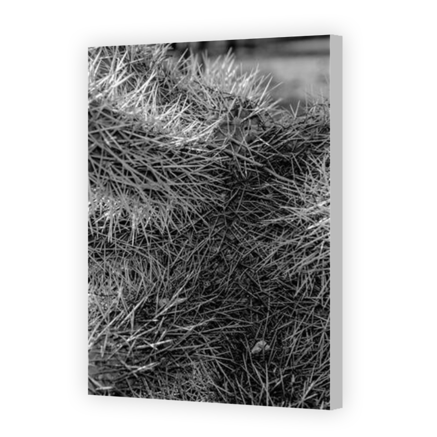 Thumbnail for Canvas - Coloured Canvas Wrap