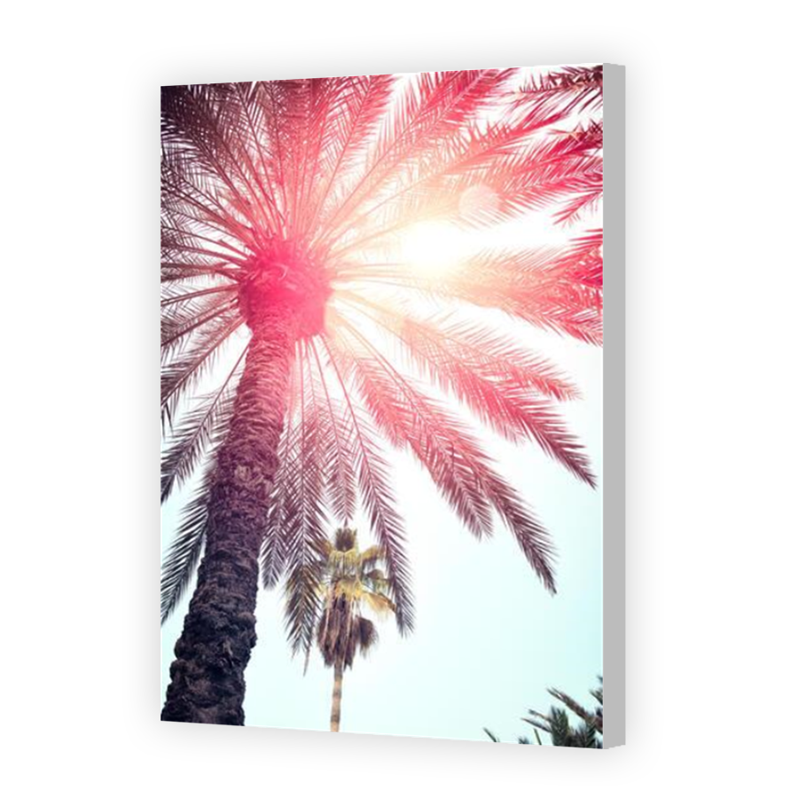 Thumbnail for Canvas - Coloured Canvas Wrap