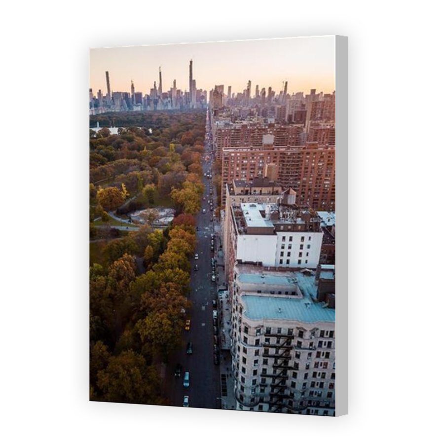 Thumbnail for Canvas - Coloured Canvas Wrap