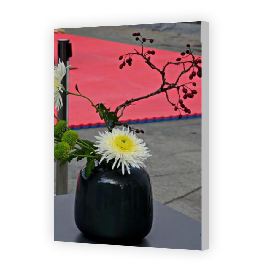 Thumbnail for Canvas - Coloured Canvas Wrap