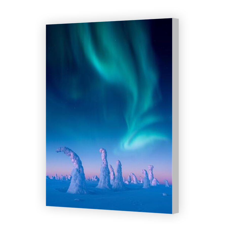 Thumbnail for Canvas - Coloured Canvas Wrap