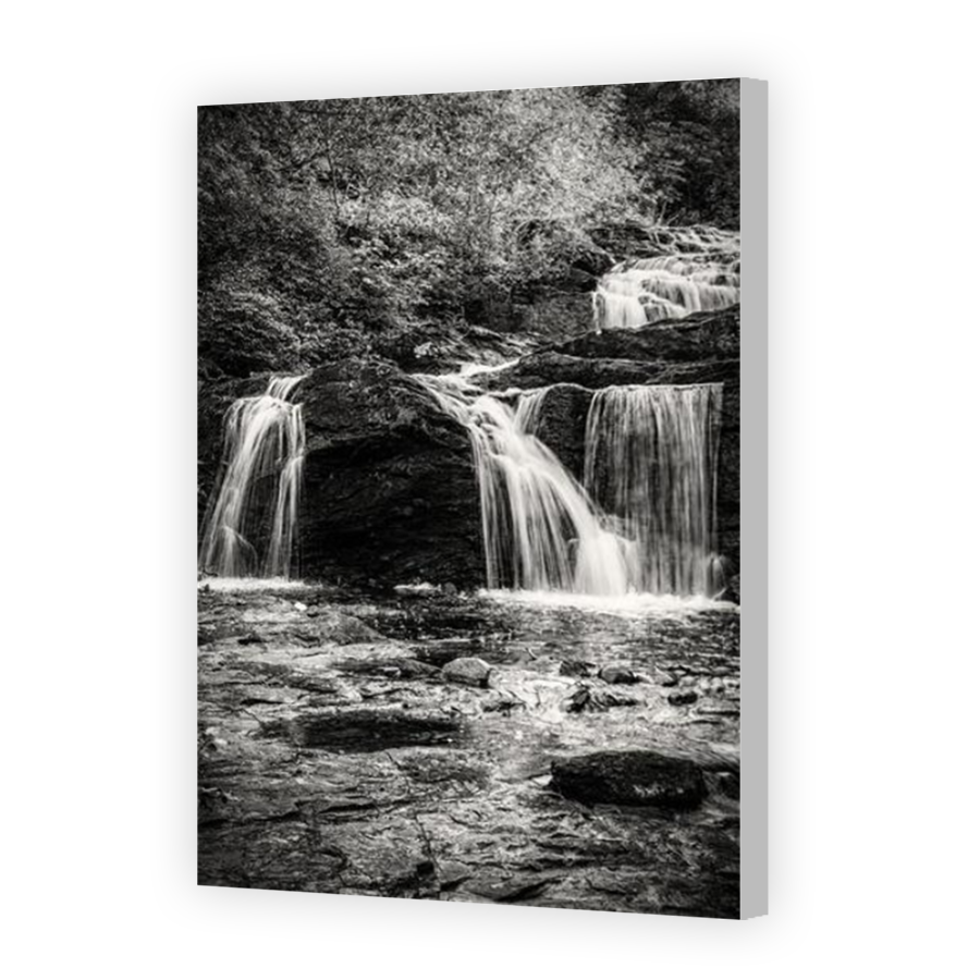 Thumbnail for Canvas - Coloured Canvas Wrap