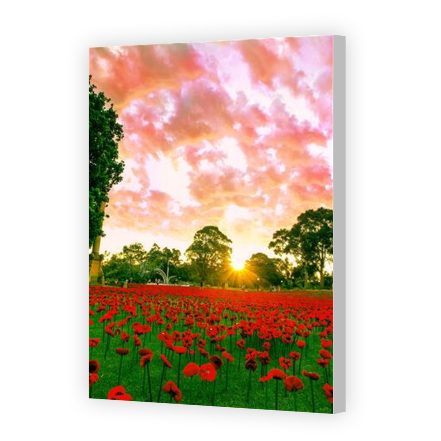 Thumbnail for Canvas - Coloured Canvas Wrap