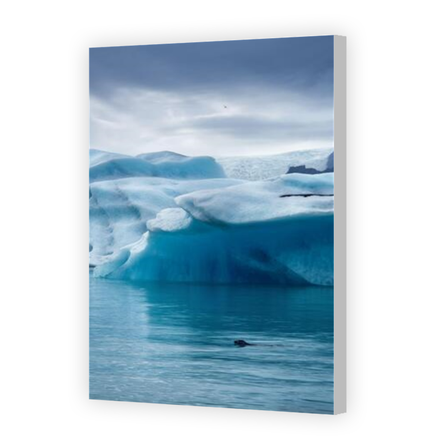 Thumbnail for Canvas - Coloured Canvas Wrap