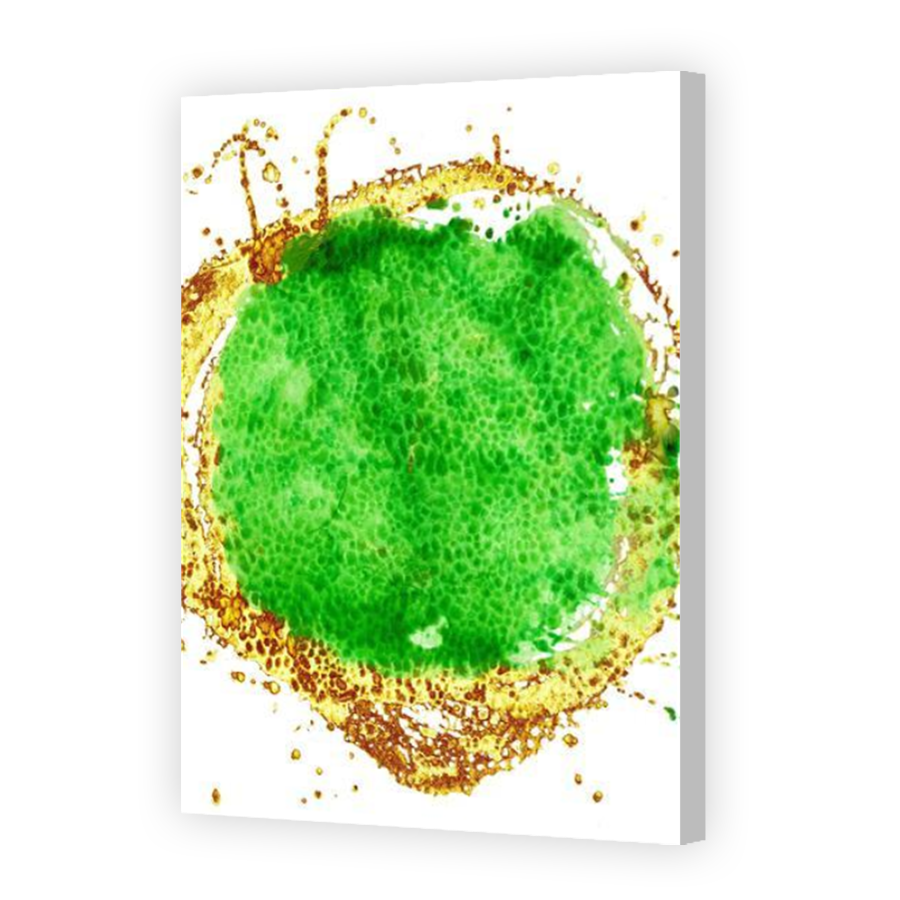 Thumbnail for Canvas - Coloured Canvas Wrap