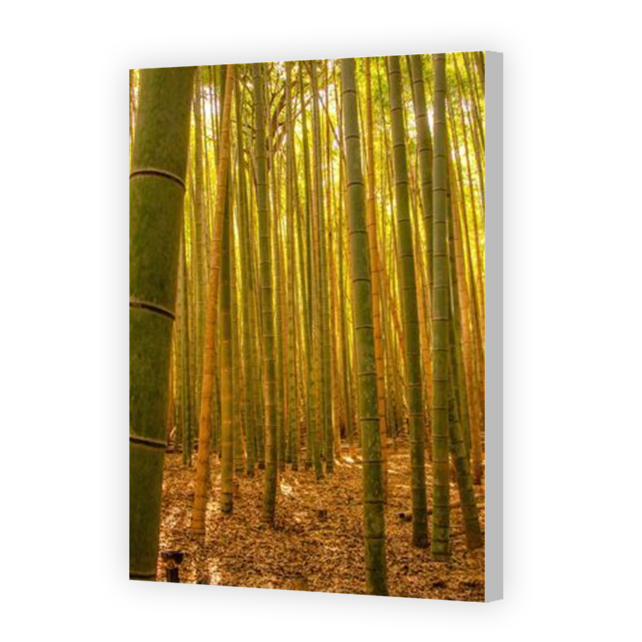 Thumbnail for Canvas - Coloured Canvas Wrap