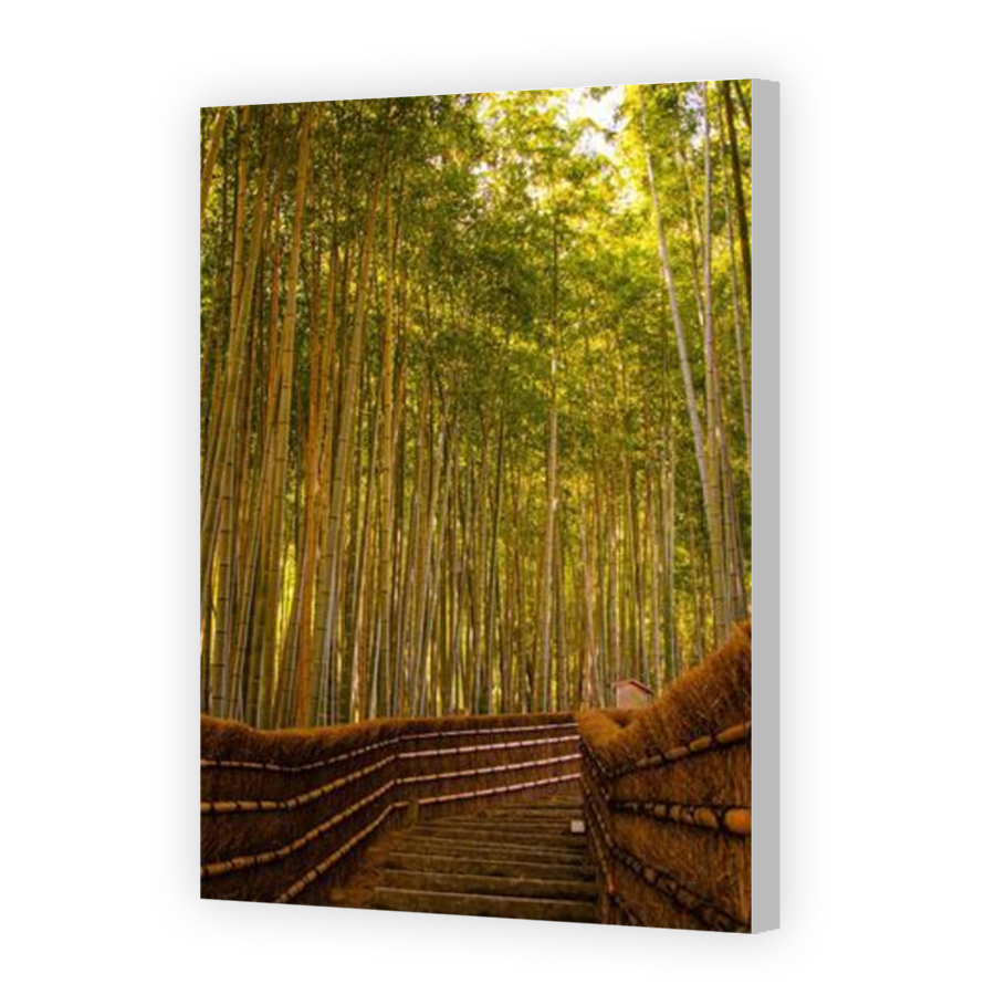 Thumbnail for Canvas - Coloured Canvas Wrap