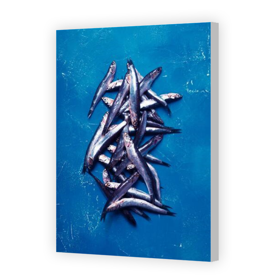 Thumbnail for Canvas - Coloured Canvas Wrap