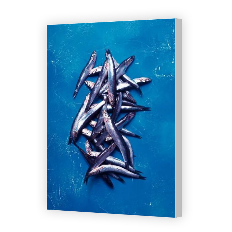 Thumbnail for Canvas - Coloured Canvas Wrap