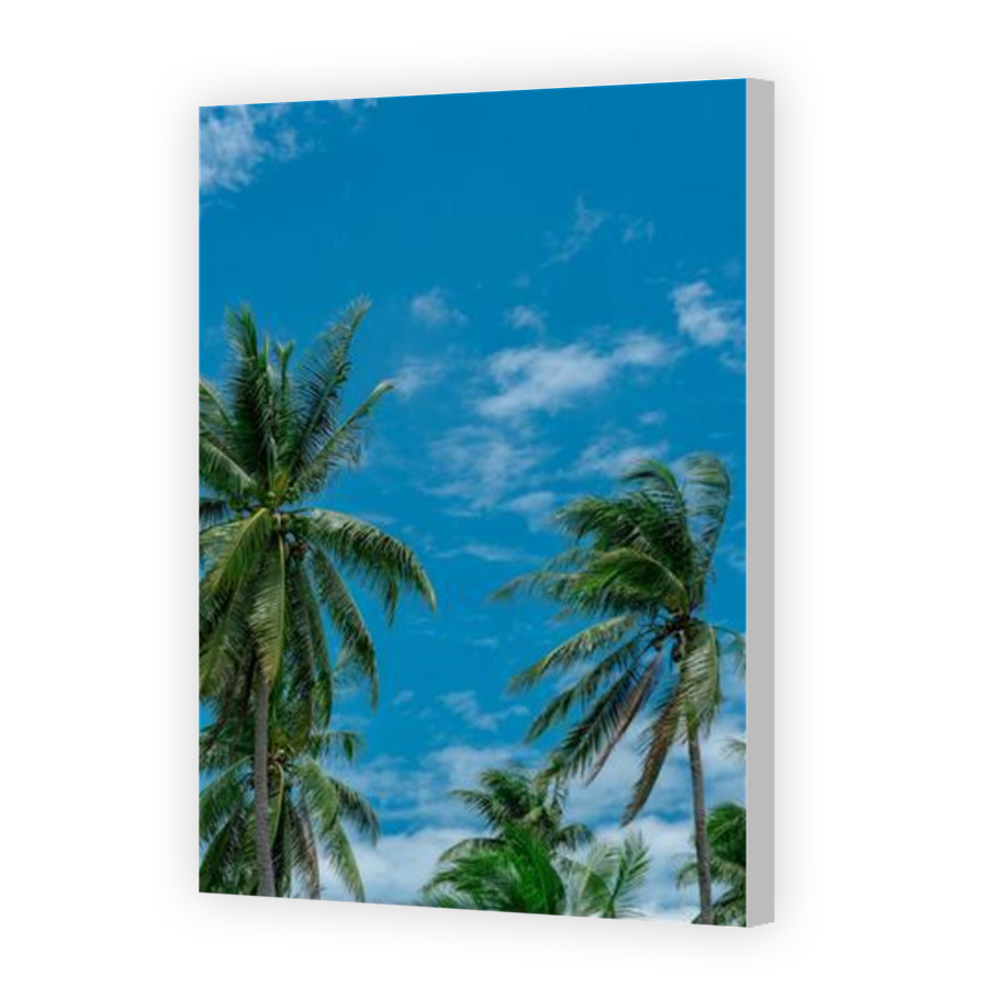 Thumbnail for Canvas - Coloured Canvas Wrap