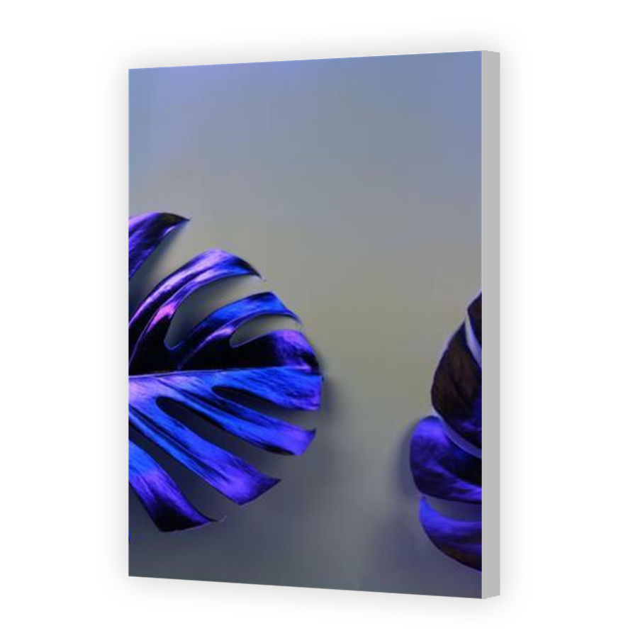Thumbnail for Canvas - Coloured Canvas Wrap