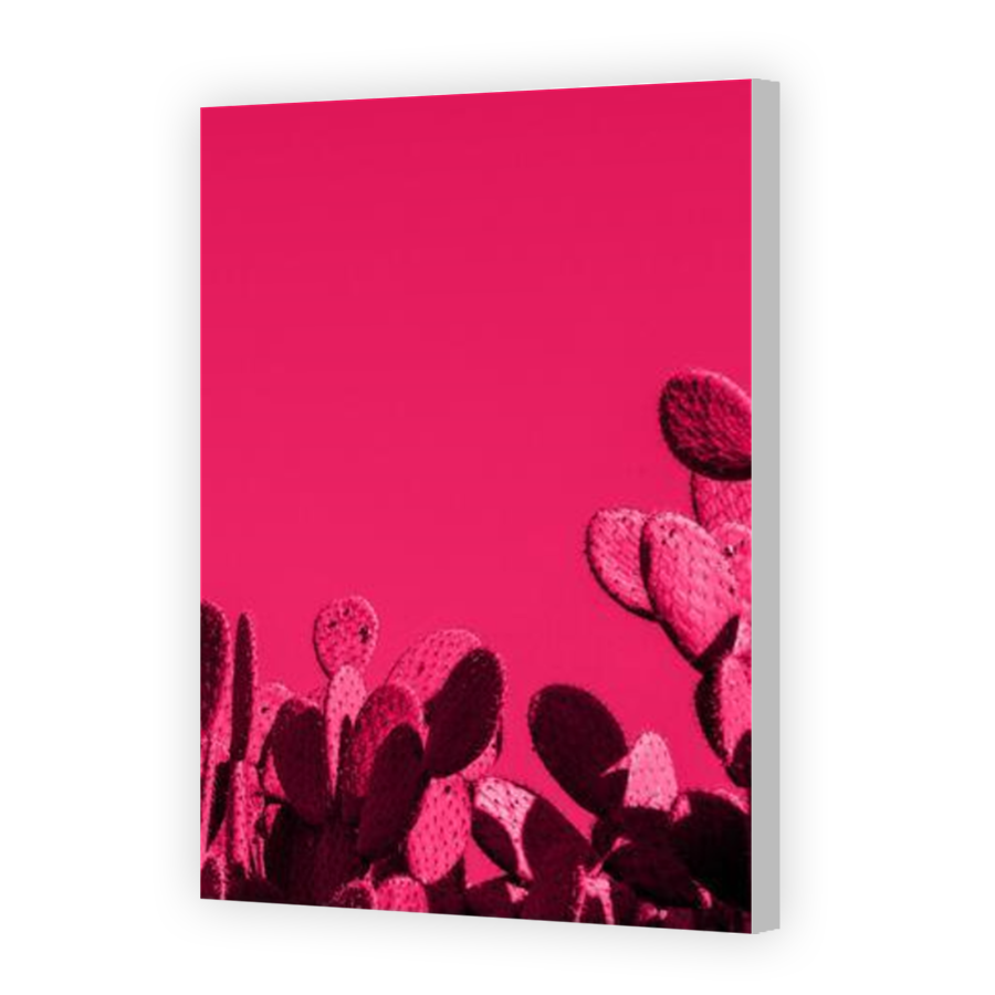 Thumbnail for Canvas - Coloured Canvas Wrap