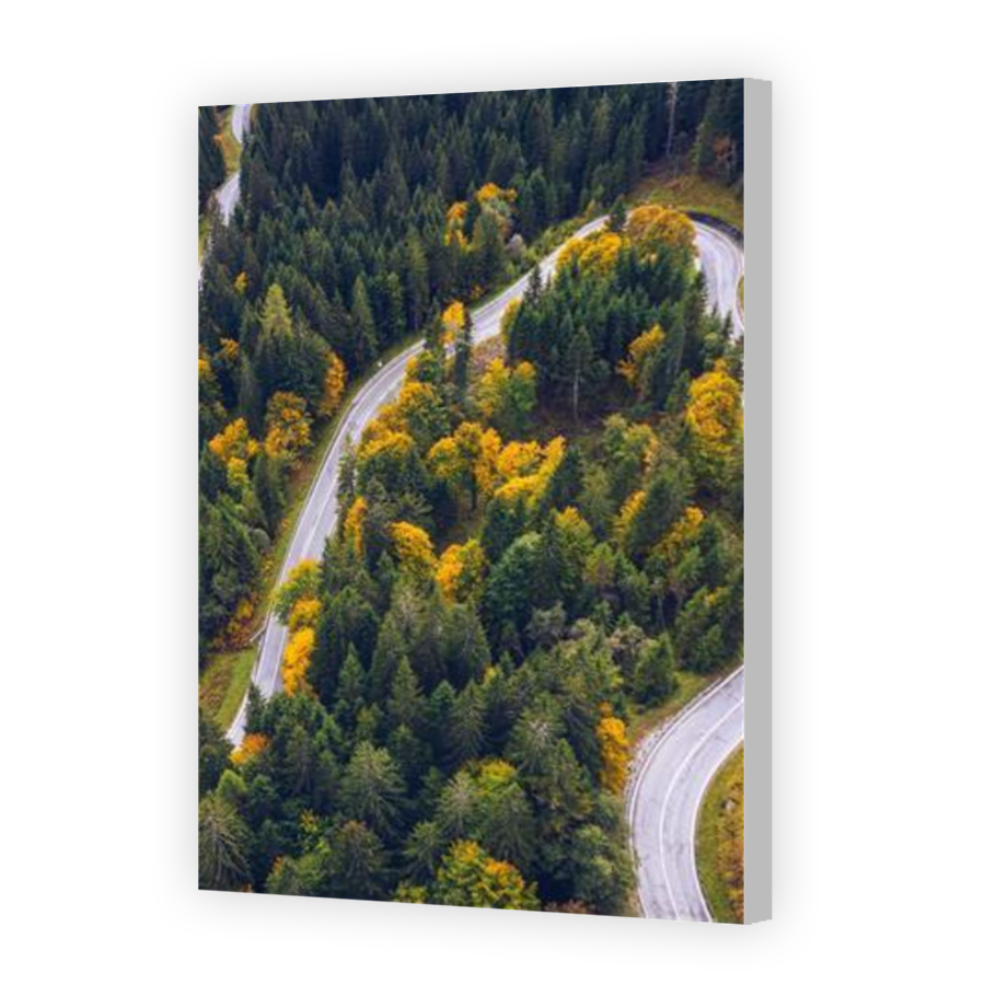 Thumbnail for Canvas - Coloured Canvas Wrap