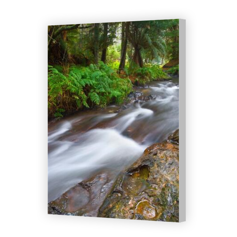 Thumbnail for Canvas - Coloured Canvas Wrap