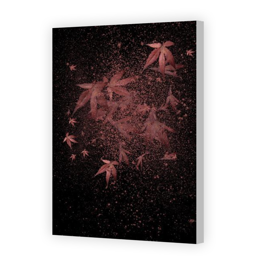 Thumbnail for Canvas - Coloured Canvas Wrap