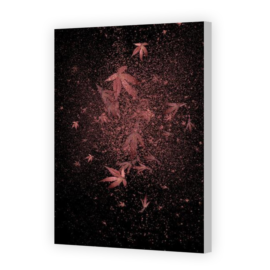 Thumbnail for Canvas - Coloured Canvas Wrap