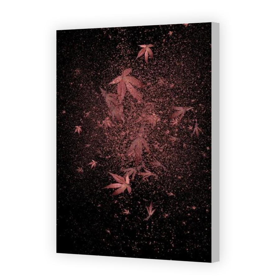 Thumbnail for Canvas - Coloured Canvas Wrap