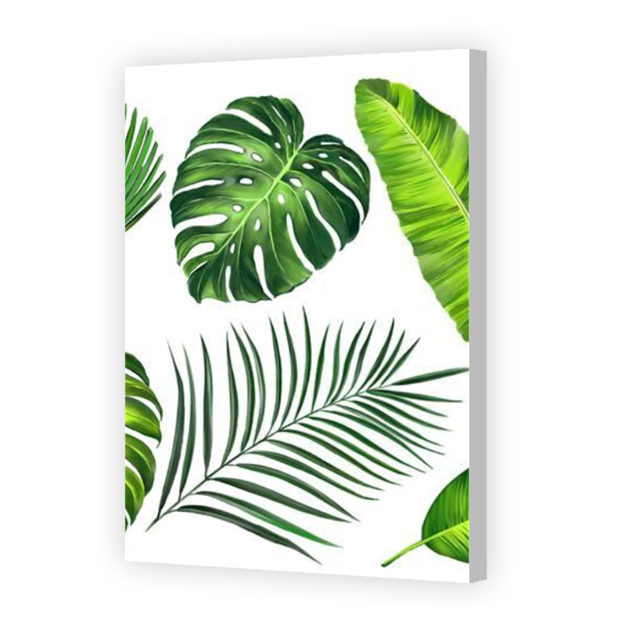 Thumbnail for Canvas - Coloured Canvas Wrap