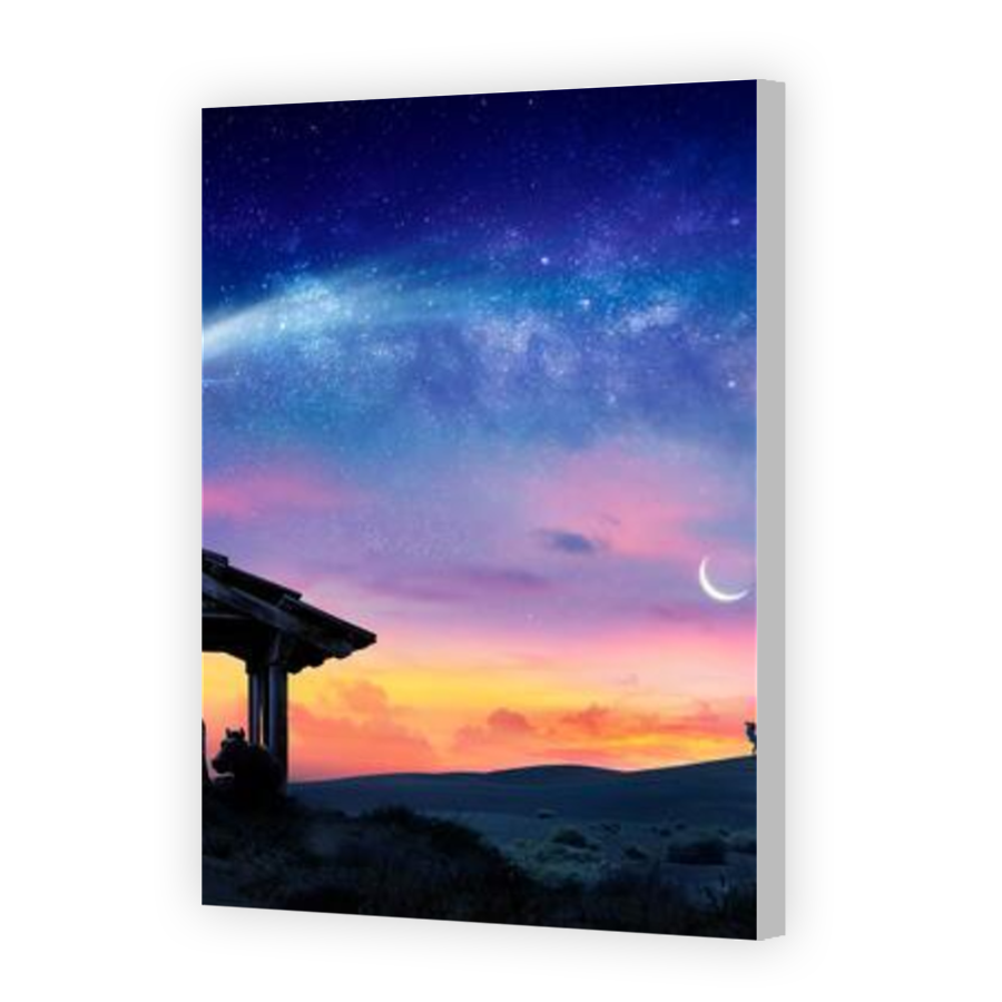 Thumbnail for Canvas - Coloured Canvas Wrap