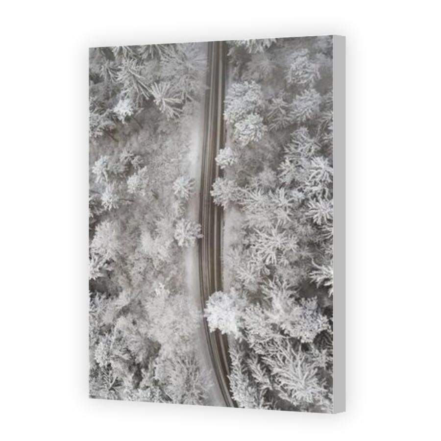 Thumbnail for Canvas - Coloured Canvas Wrap