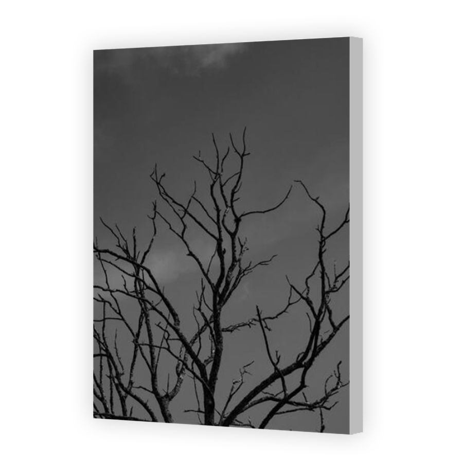 Thumbnail for Canvas - Coloured Canvas Wrap