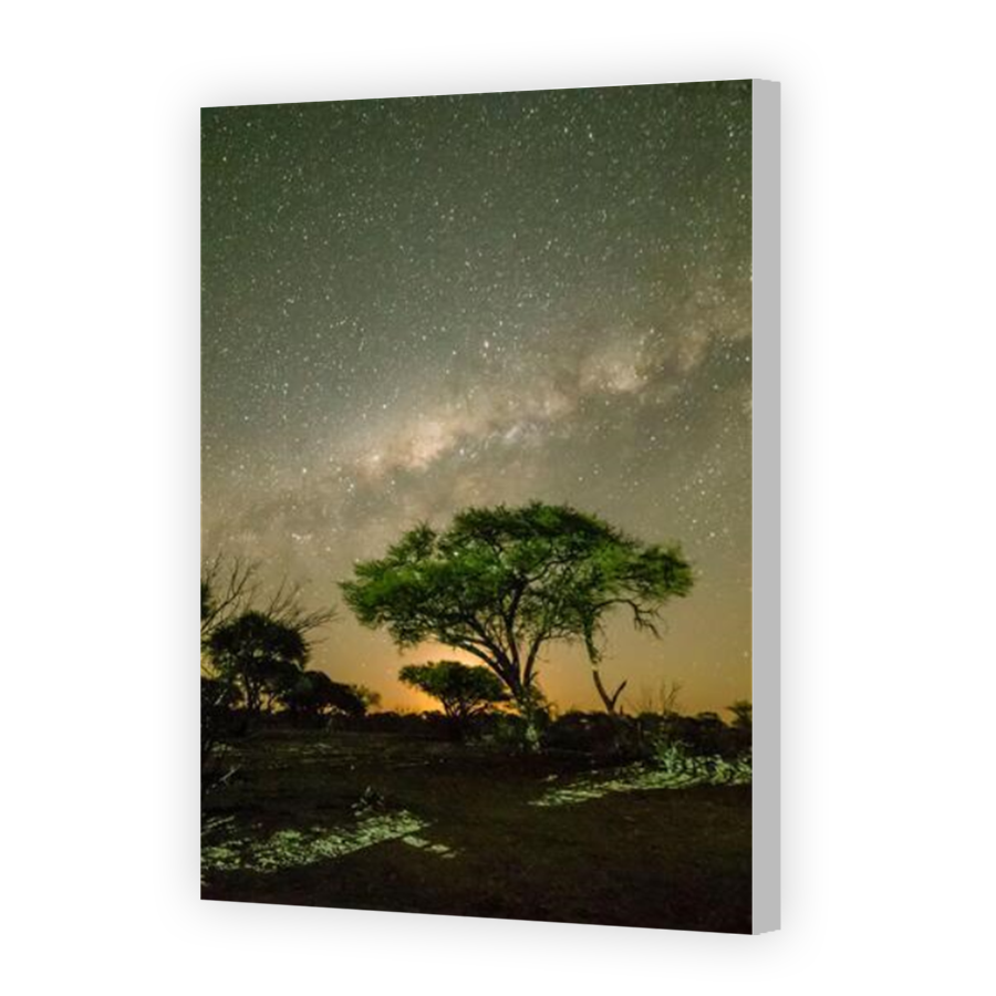 Thumbnail for Canvas - Coloured Canvas Wrap