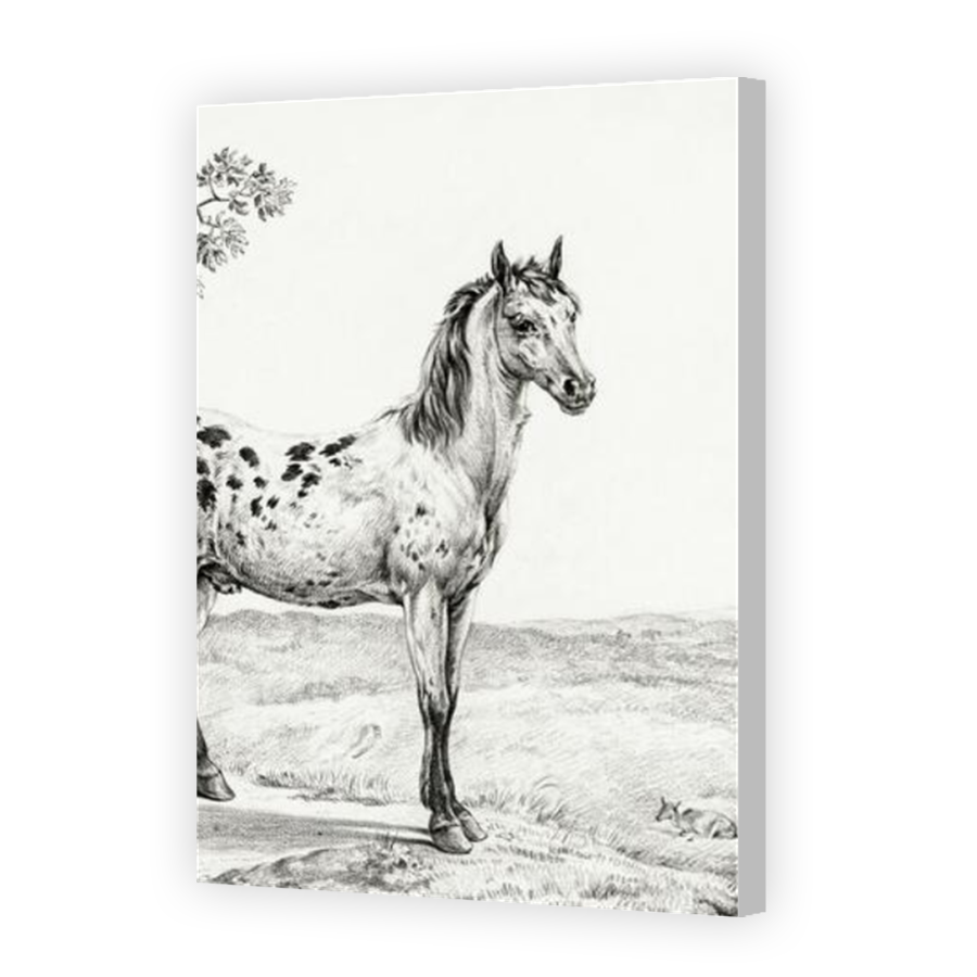 Thumbnail for Canvas - Coloured Canvas Wrap