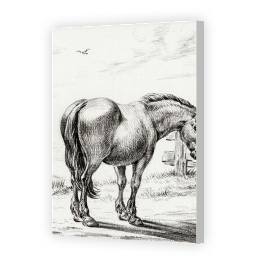 Thumbnail for Canvas - Coloured Canvas Wrap