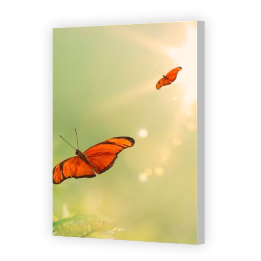 Thumbnail for Canvas - Coloured Canvas Wrap
