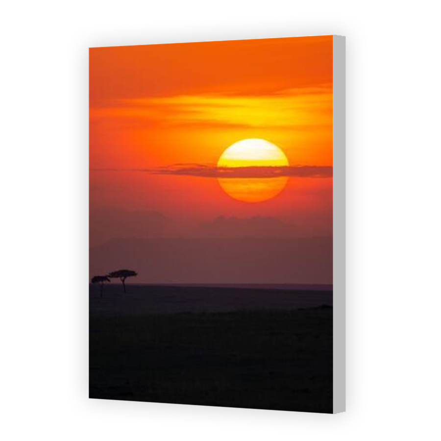 Thumbnail for Canvas - Coloured Canvas Wrap