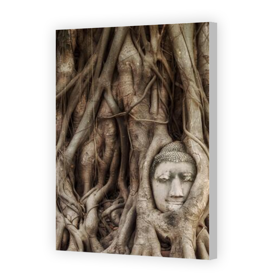 Thumbnail for Canvas - Coloured Canvas Wrap