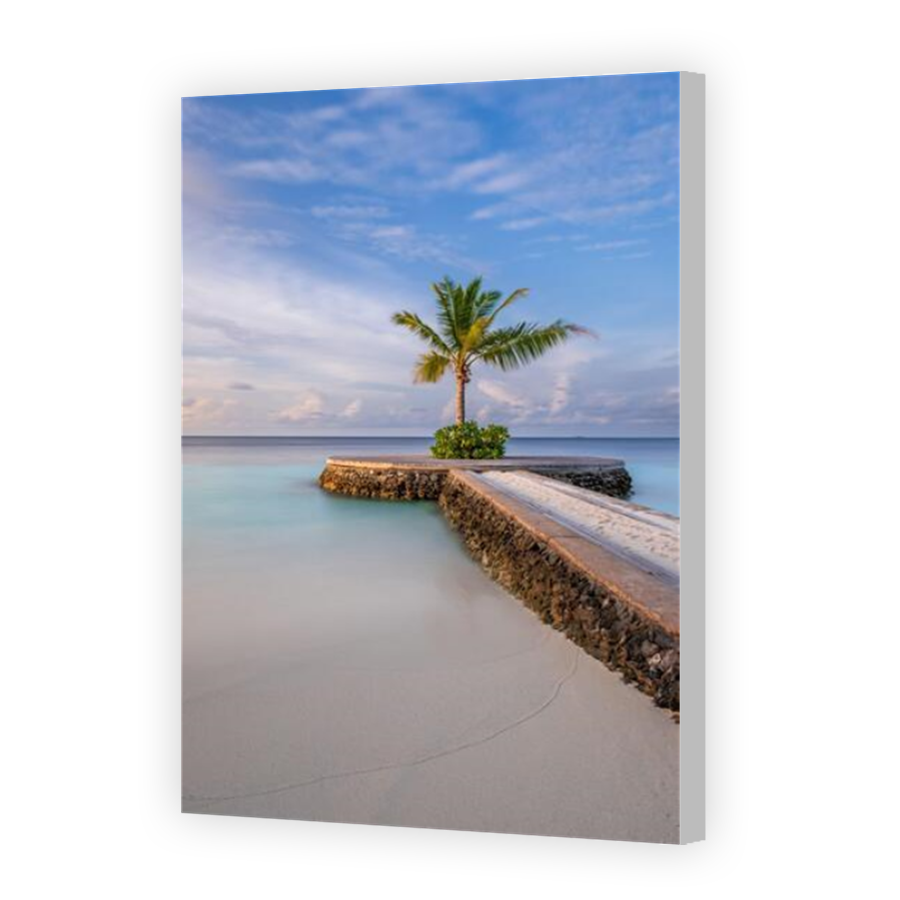 Thumbnail for Canvas - Coloured Canvas Wrap