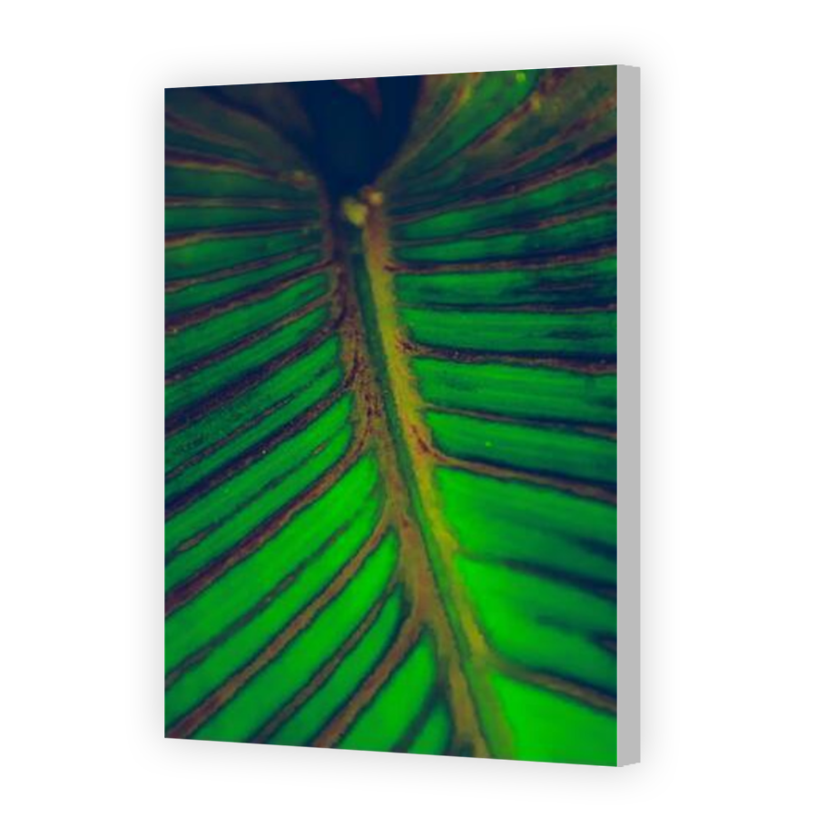 Thumbnail for Canvas - Coloured Canvas Wrap