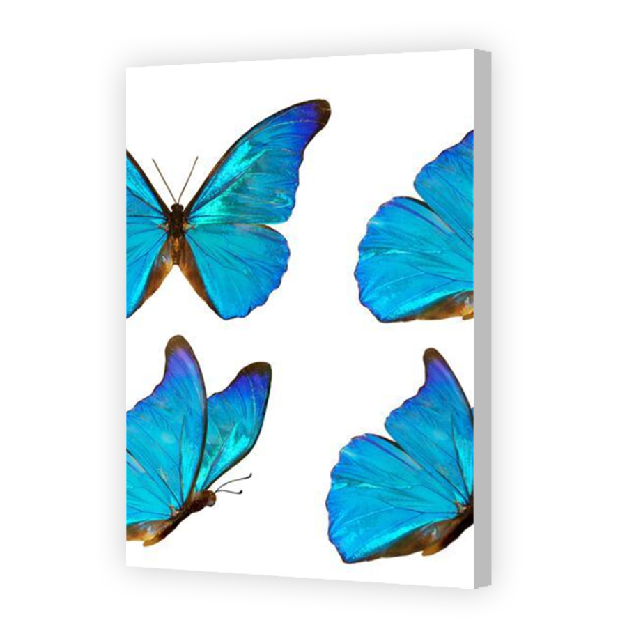 Thumbnail for Canvas - Coloured Canvas Wrap