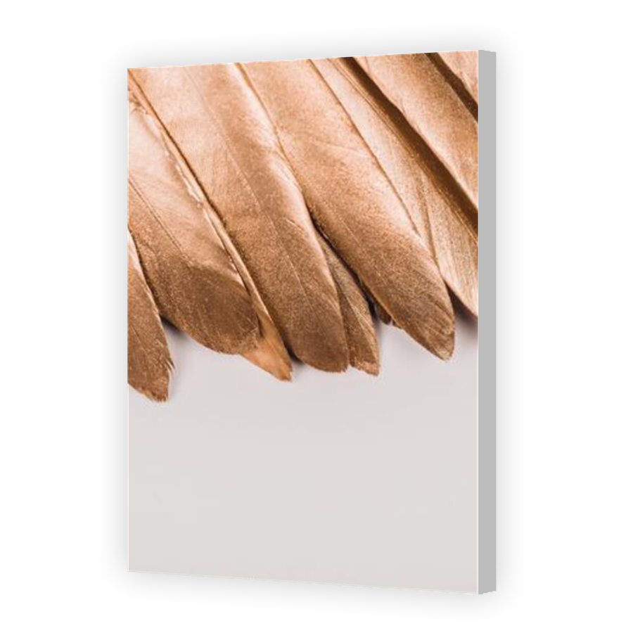 Thumbnail for Canvas - Coloured Canvas Wrap