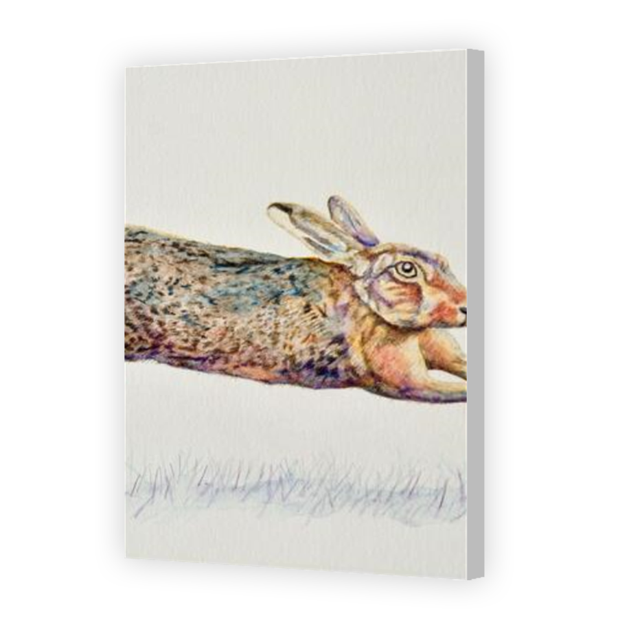Thumbnail for Canvas - Coloured Canvas Wrap