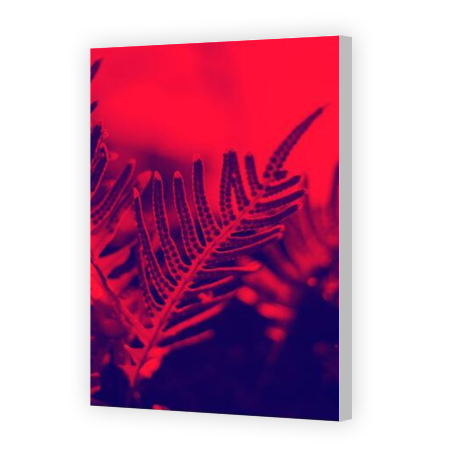 Thumbnail for Canvas - Coloured Canvas Wrap