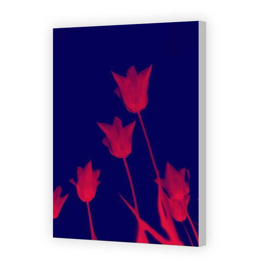 Thumbnail for Canvas - Coloured Canvas Wrap