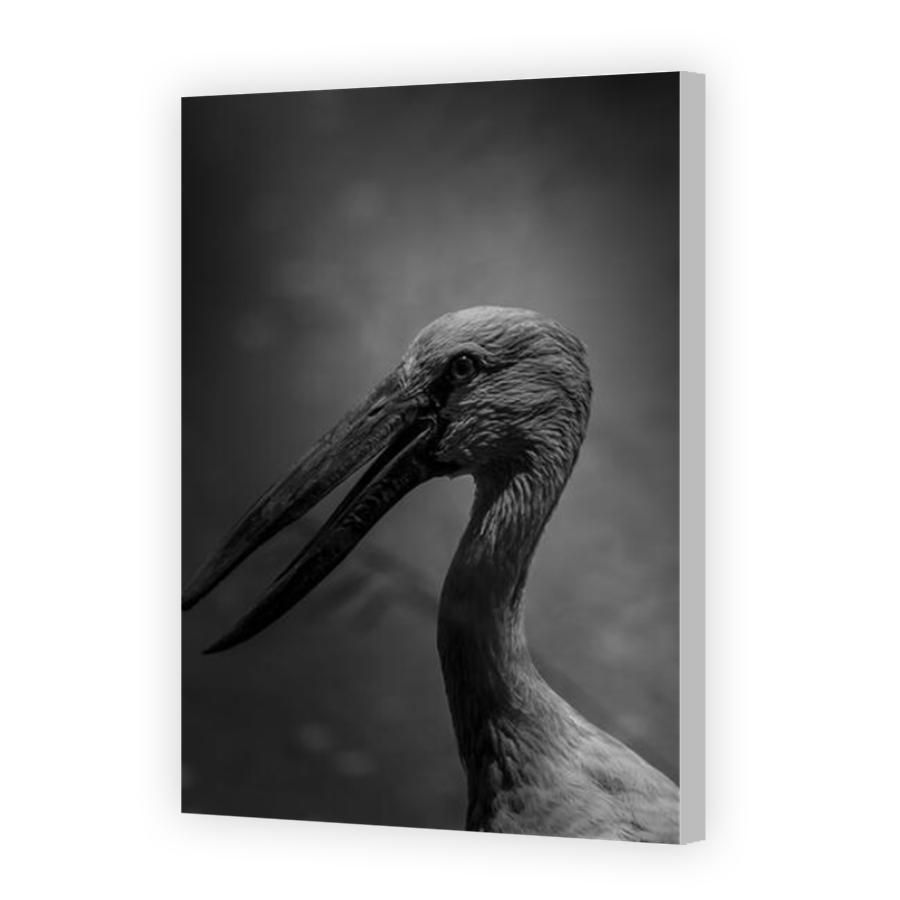 Thumbnail for Canvas - Coloured Canvas Wrap