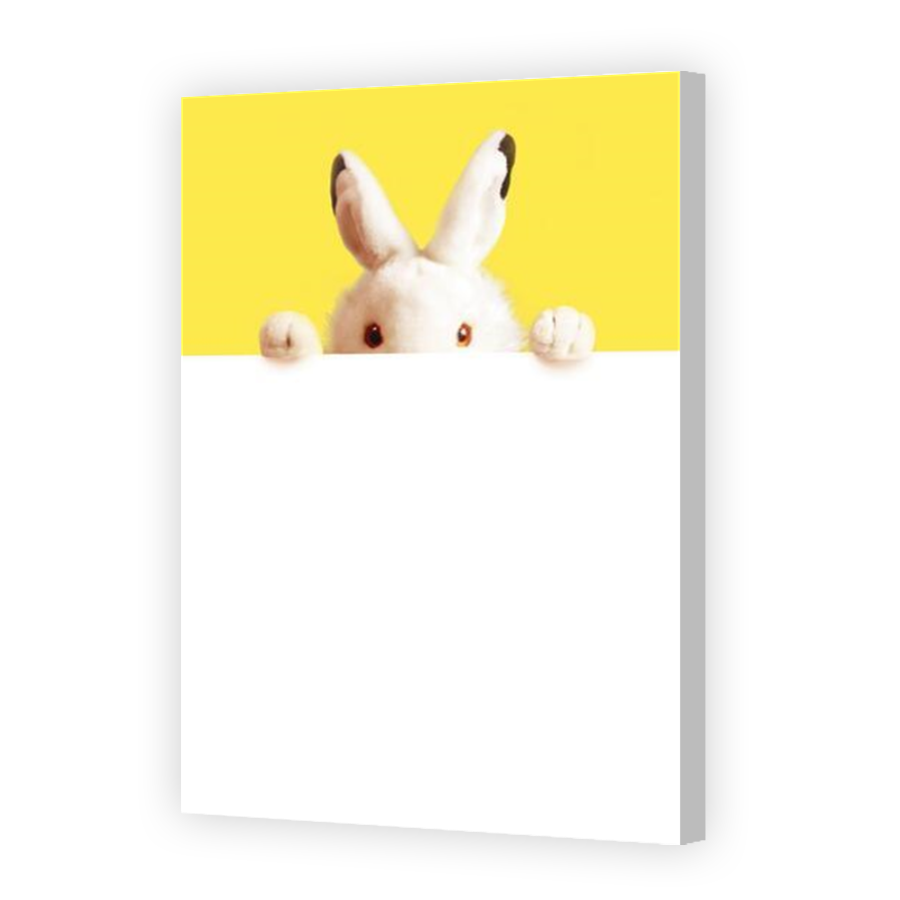 Thumbnail for Canvas - Coloured Canvas Wrap
