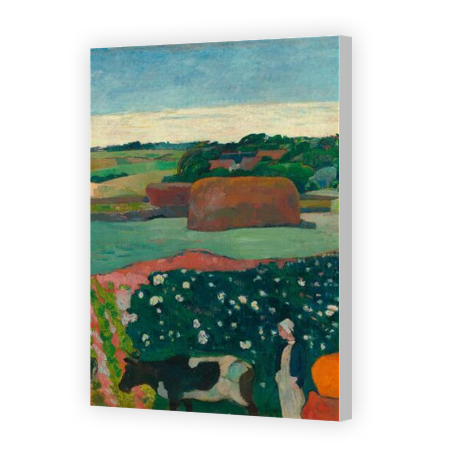 Thumbnail for Canvas - Coloured Canvas Wrap