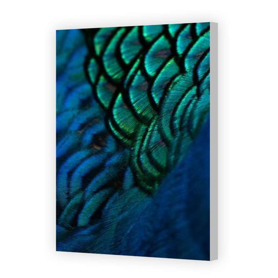 Thumbnail for Canvas - Coloured Canvas Wrap