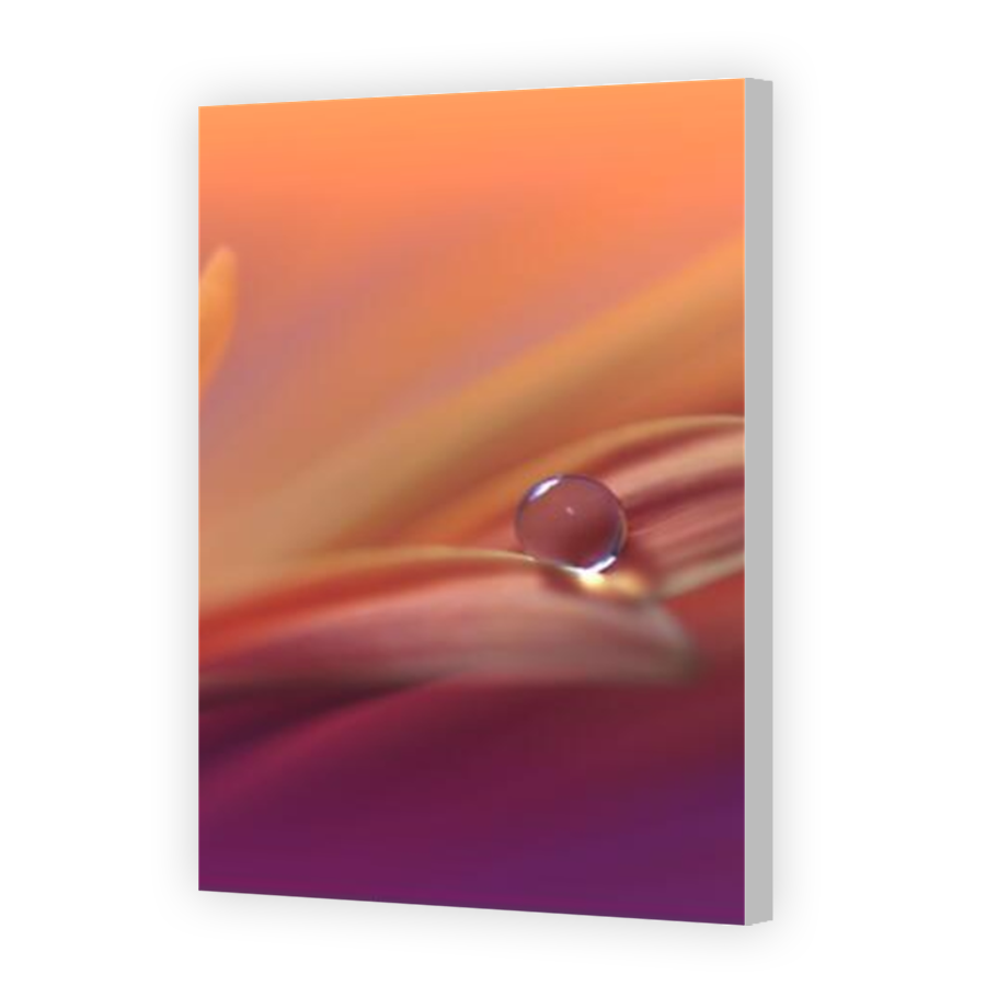 Thumbnail for Canvas - Coloured Canvas Wrap