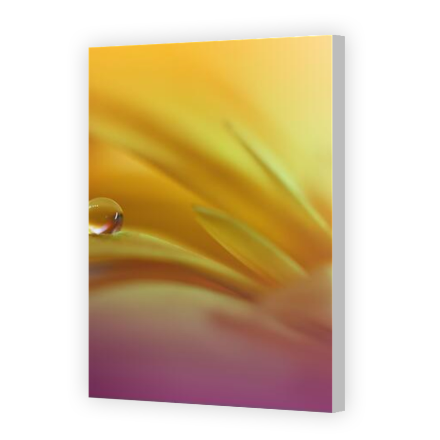 Thumbnail for Canvas - Coloured Canvas Wrap