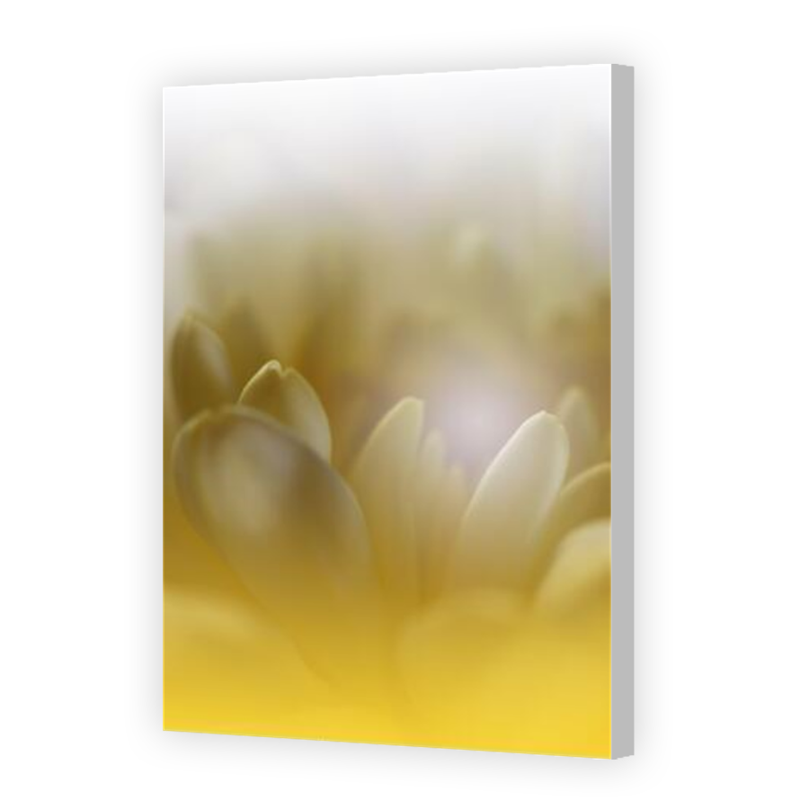 Thumbnail for Canvas - Coloured Canvas Wrap