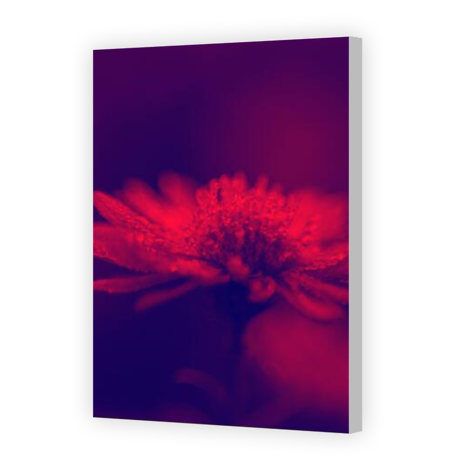 Thumbnail for Canvas - Coloured Canvas Wrap