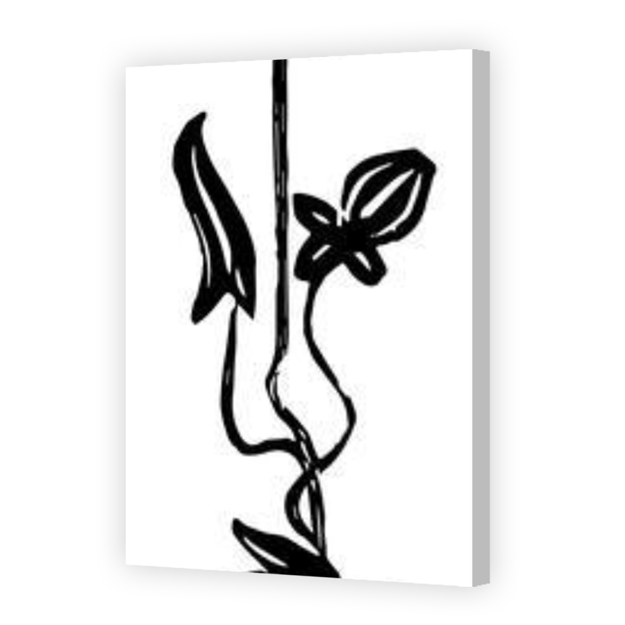 Thumbnail for Canvas - Coloured Canvas Wrap