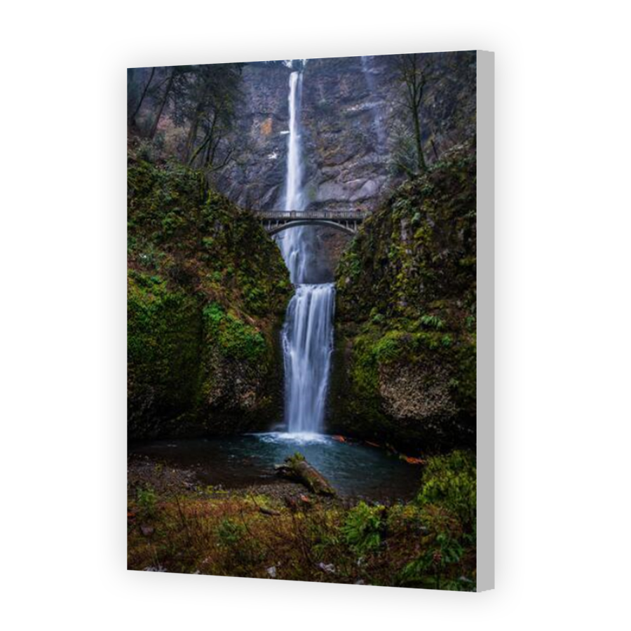 Thumbnail for Canvas - Coloured Canvas Wrap