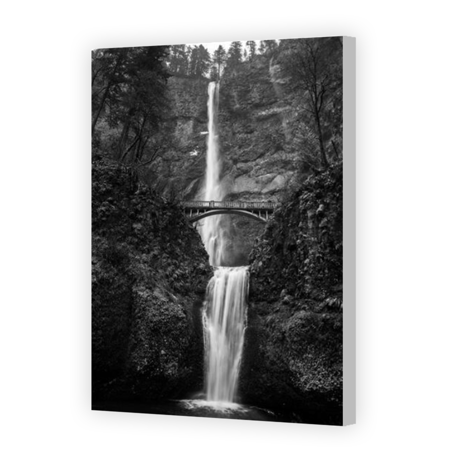 Thumbnail for Canvas - Coloured Canvas Wrap